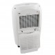 FRAL DryDigit 21LCD Osuszacz powietrza kondensacyjny